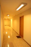 Apartament Luxus