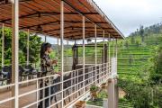 Top Kotagiri