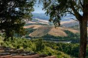 Top Castelfalfi