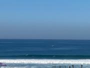 Top Durban
