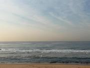 Top Durban