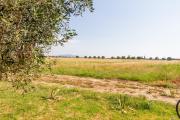 Top Grosseto