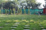 Top Alibaug
