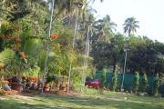 Top Alibaug