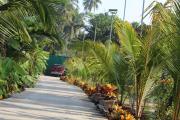 Top Alibaug
