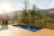 Top Phoenicia