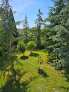 Top Sasso Marconi
