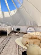 Top Terlingua