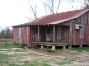 Top Greenwood