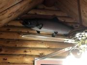 Top Soldotna