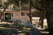 Top Palomar Mountain