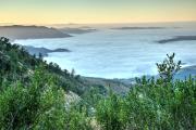 Top Palomar Mountain