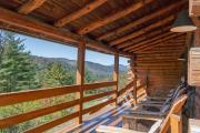 Top Phoenicia