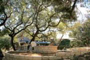 Top Spicewood