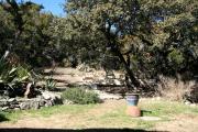 Top Spicewood
