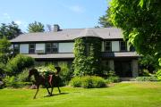Top Lakeville