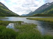 Top Soldotna