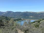 Top Geyserville