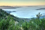 Top Palomar Mountain