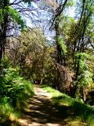 Top Palomar Mountain