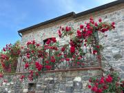 Top Viggianello