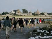 Top Saint-Vaast-la-Hougue