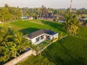 Top Ubud