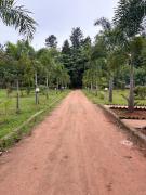 Top Araku