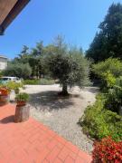 Top Osimo