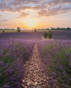 Top Allemagne-en-Provence