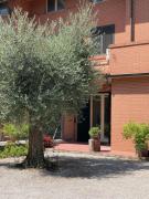 Top Osimo