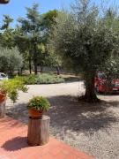 Top Osimo