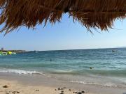 The perfect spot by Sea and Tram