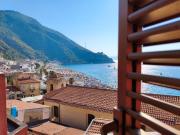 Top Scilla
