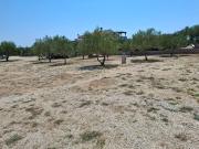 Camp Oblica - parcela - empty plot