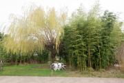 Top Noyers-sur-Cher