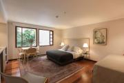 Elegant Apt in Zona G Modern & Sophisticated 301