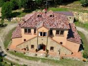 Top Sassetta