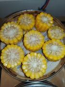 Top Yichang