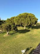 Top Alvor
