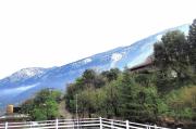 Cedar Crest Homestay