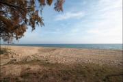 Top Vilassar de Mar