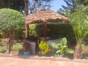Top Namanga