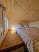 Top Amriswil