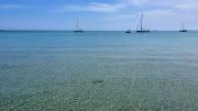 Top Tabarca