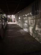 Top Pereira
