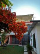 Top Tumbes