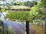 Top Yackandandah