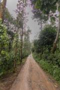 Top Madikeri