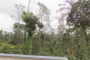 Top Madikeri